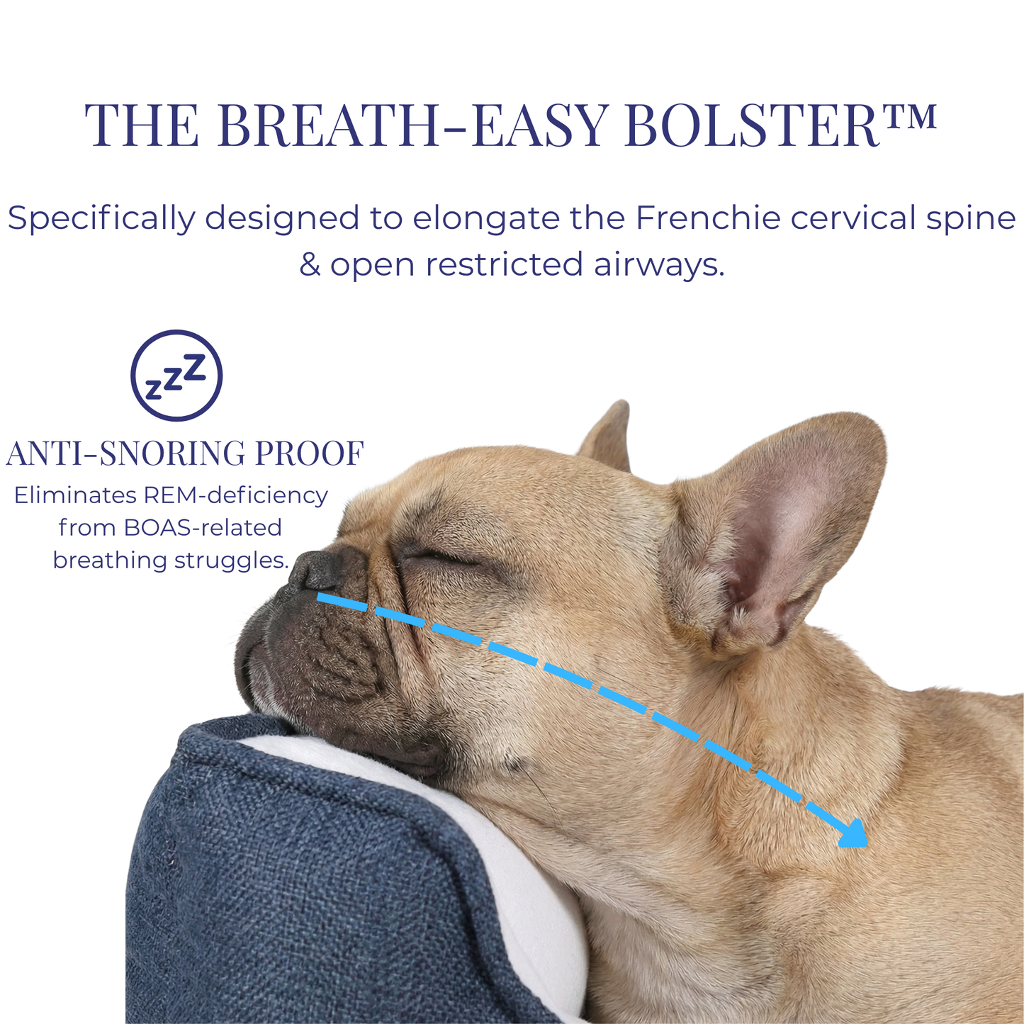 The Frenchie Orthopedic Spine-Relief Bed™