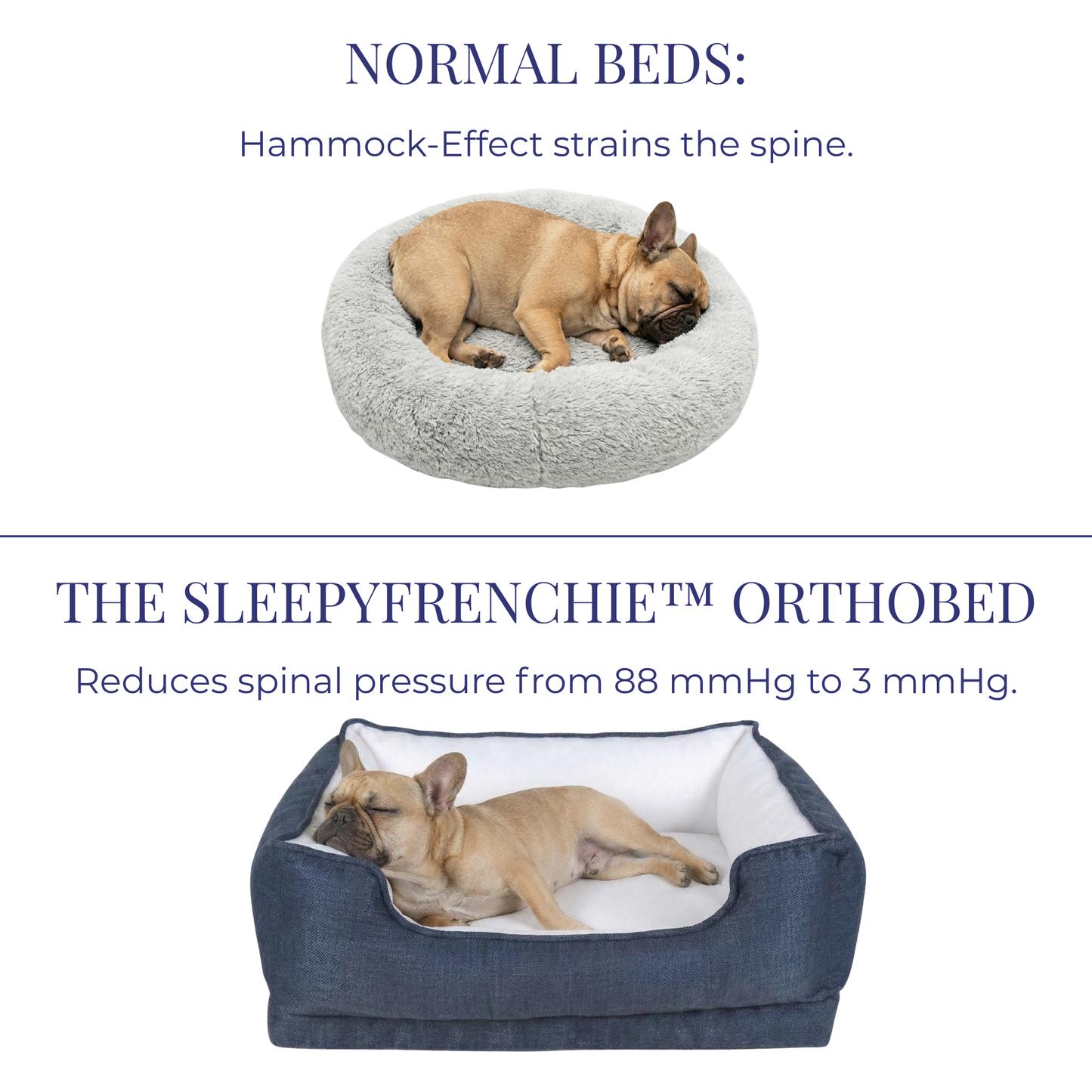 The Frenchie Orthopedic Spine-Relief Bed™