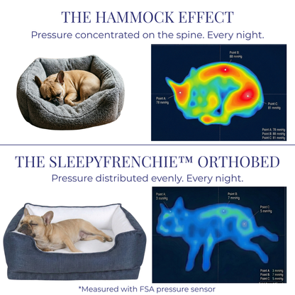 The Frenchie Orthopedic Spine-Relief Bed™